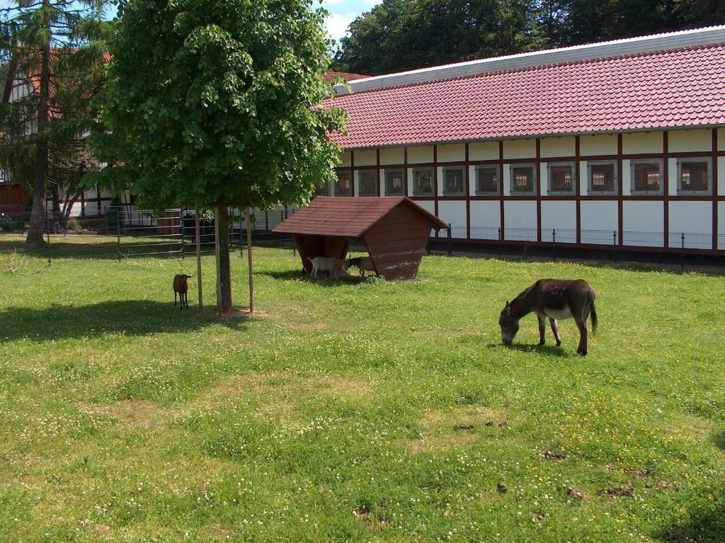 Landhotel Gutsherrn-Klause Dankerode  Exterior foto